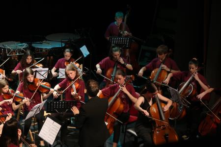KONCERT ORKESTROV 14 FOTO LJUBO VUKELIČ